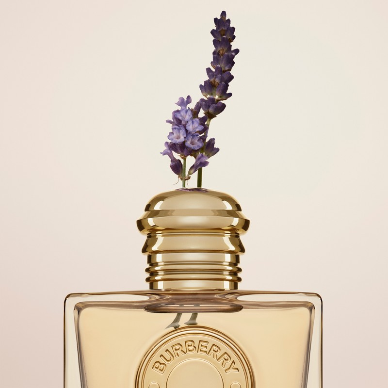 osann様専用】BURBERRY GODDESS 50ml-